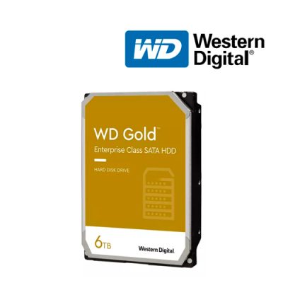 DISCO DURO WESTERN D. WD6003FRYZ DE 6TB PC SERVIDOR SATA 3.5″ GOLD