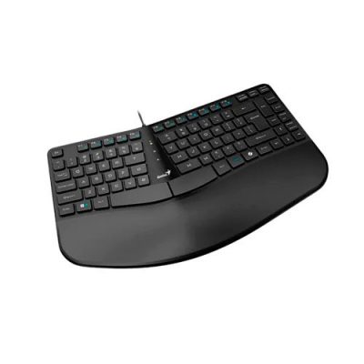 TECLADO GENIUS ERGO KB-700 ERGONOMICO ONDULADO USB ESPAÑOL