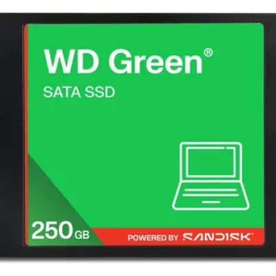 DISCO SOLIDO SSD WESTERN D. WDS250G5G0A-00CPT0 DE 250GB SATA III 2.5″ 7mm GREEN